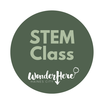 STEM Class