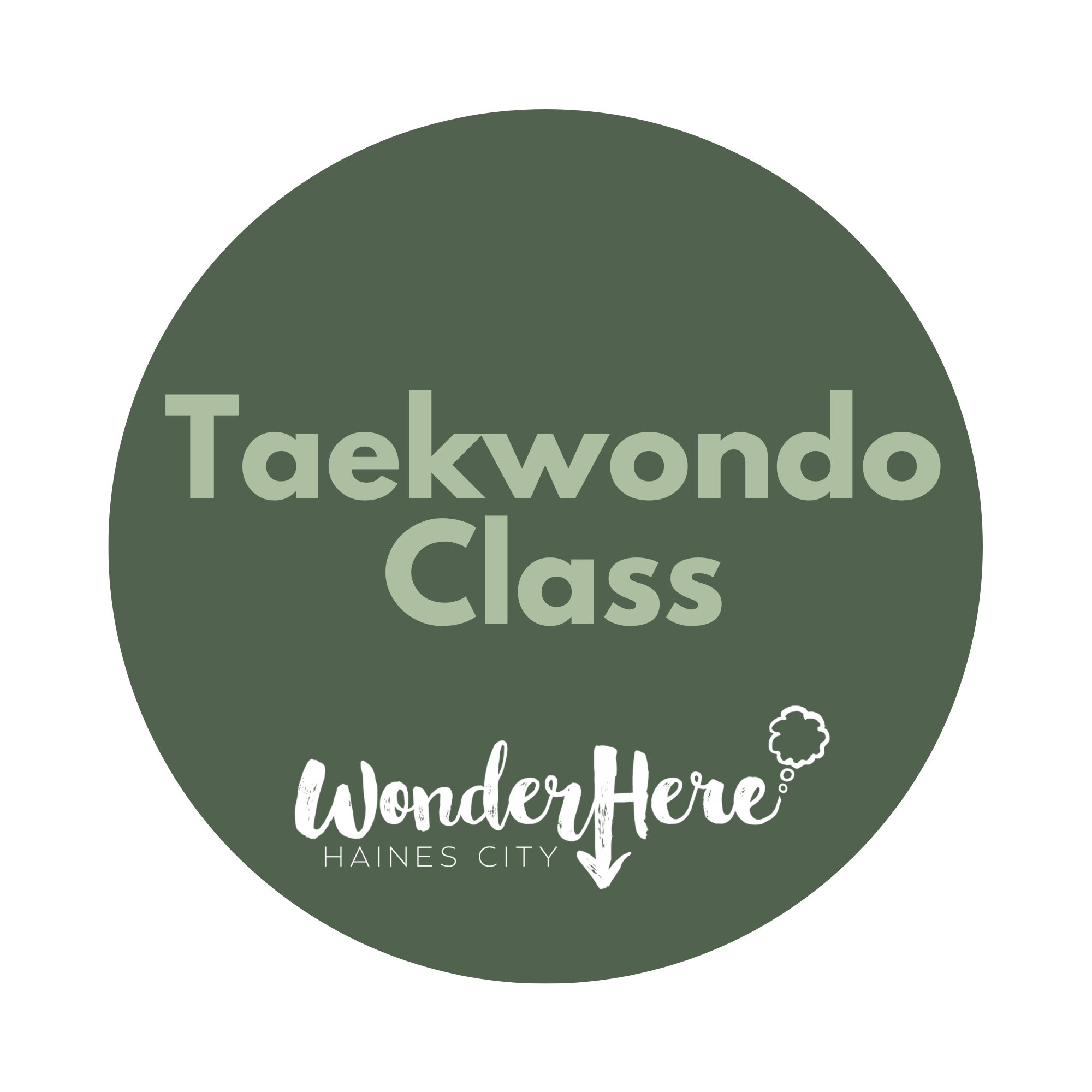 Taekwondo Class